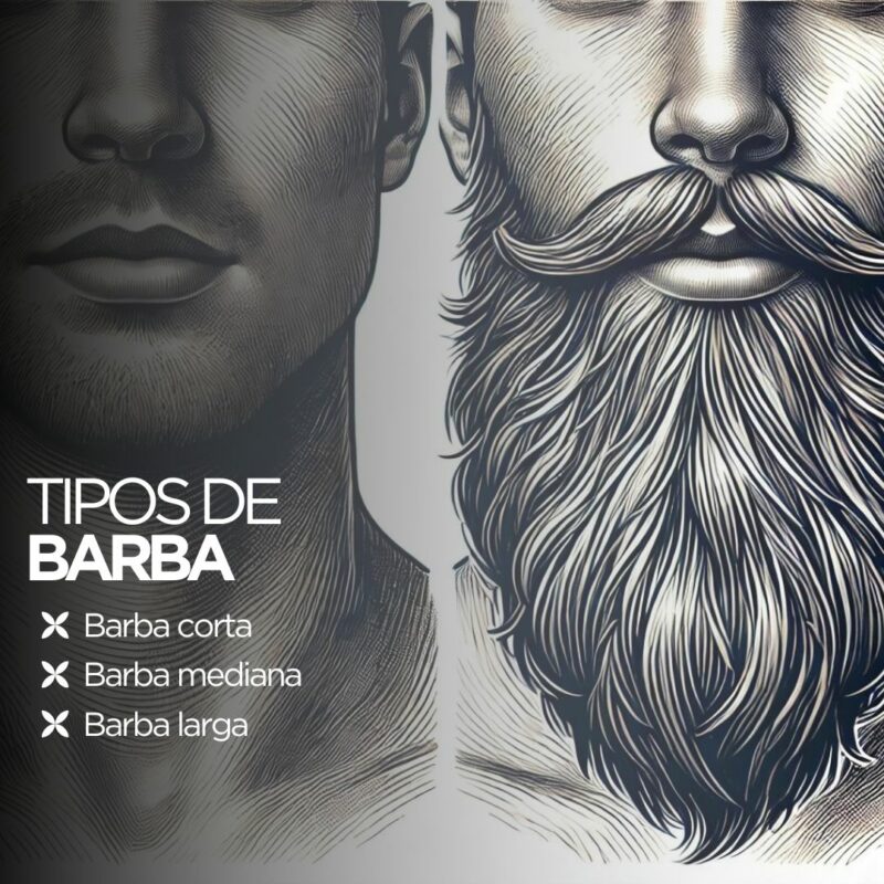 Tipos de barba